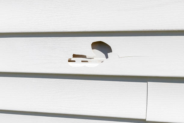 Professional Junk Removal in Capron, IL