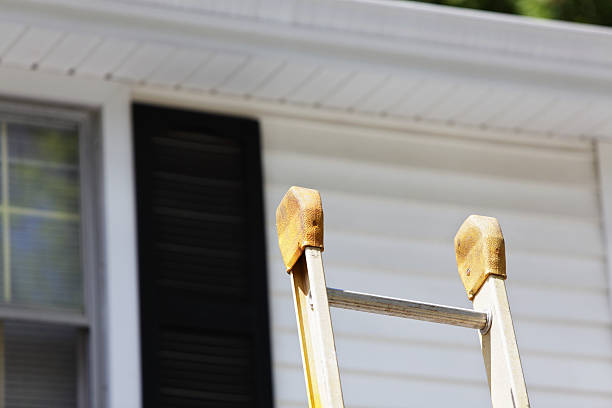Best Shed Removal  in Capron, IL