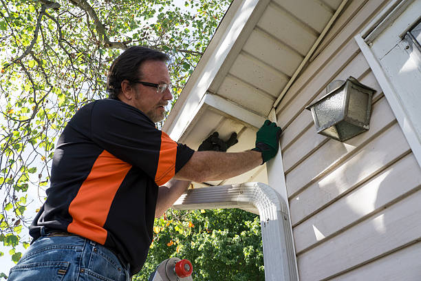 Best Demolition Debris Removal  in Capron, IL